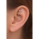 Sacce Scarves&Accessories Çelik Taşlı Toplu 8 mm Rook Conch Helix Lob Kıkırdak Piercing