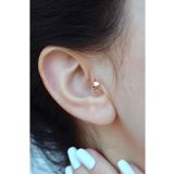 Sacce Scarves&Accessories Halka Tragus Helix Kıkırdak Küpesi Piercing