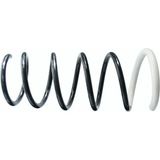 SACHS 994631 Arka Helezon Yayi 550202720R (2 Adet Fiyatıdır)