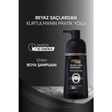 Saçlardaki Gri ve Beyazları Gerçek Rengine Döndürmeye Yardımcı, Siyah Saçlar Için Boyama Şampuanı