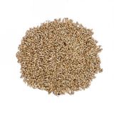 Sade Kanarya Yemi 1 Kg Ücretsiz Kargo
