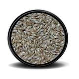 Sade Kanarya Yemi Aspur | 1kg