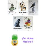Sadık Hidayet 5 Kitap Seti + Çim Adam Hediye - Hayır