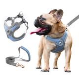 SAEGYPET Köpek Koşum Takımı Evcil Hayvan Ayarlanabilir Yansıtıcı Koşum Yeleği, Yavru Köpek için Yürüyüş Kurşun Tasma Küçük Orta Boy Lager Köpek için (XS, Mavi)