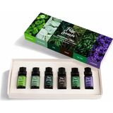 Saf 6'li Uçucu Yağ Seti - Özel Seçki Buhurdanlık ve Difüzör Kokusu (6 x 10 Ml) - Çok Renkli