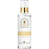 Saf Akgünlük (Frankincense) Suyu Anti-Aging & Sıkılaştırıcı Cilt Bakım Toniği 100 ML.%100 Saf - Standart