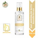 Saf Akgünlük (Frankincense) Suyu Anti-Aging & Sıkılaştırıcı Cilt Bakım Toniği 100 Ml. %100 Saf