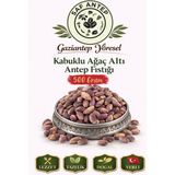 Saf Antep Kabuklu Ağaç Altı Antep Fıstığı 500 gr Gaziantep Yöresinden Yeni Mahsul - 0,35 lt