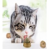 Safestore Kedi Nanesi Cat Mint Oyun Topu - Çok Renkli