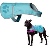 SafetyPUP XD - En İyi Arkadaşınızı Koruyun. Hi-Vis Floresan, Yansıtıcı Köpek Yeleği, Evcil Hayvanınızı Arabalardan ve Kırsal Kazalardan Korumanıza Yardımcı Olmak İçin Önemli Görünürlük Sağlar, Tasmalı