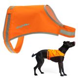 SafetyPUP XD Hafif Köpek Yeleği. Sırtın ortasına kadar kapsama alanı Yansıtıcı Yüksek Görünürlüklü Alev Turuncu Floresan Kumaş onları Görüş ve Güvenli Tasma Tutmasına Yardımcı olur.