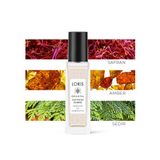 Saffron Ambre 8 Ml Unisex Parfüm Yağı | Natural Oil