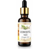 Safvital Zencefil Yağı 20 ml Aromatik Bitkisel Bakım Yağı Damlalıklı Amber Cam Şişe Maserasyon Premium Bakım Yağı