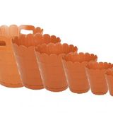 Sağlam Plastik Papatya Saksı 6'lı Set