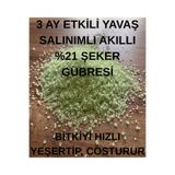 Saglam Tarım Yavaş Salınımlı (N21 DCD) Amonyum Sülfat Akıllı Çim Gübresi 250 Gr.