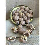 Sağlık Kuruyemiş - Kabuklu Ceviz - 1000 gr - 1 kg