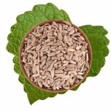 Sağlık Tarım Ürünleri 1 kg Ayçekirdek İçi