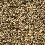 Sağlık Tohumu Kuş Yemi 60 Gr