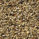 Sağlık Tohumu Kuş Yemi Yabani Sağlık Yohumu 250 Gr