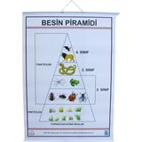 Sağlıklı ve Lezzetli Besin Pramidi, Günlük Enerji Kaynağı Için Ideal Seçim - Ahşap - Seçenek 1