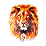 Sahra Galatasaray Aslan Büyük Sticker 40X50Cm Orijinal Lisanslı Ürün
