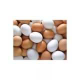 Sahte Yumurta 20 Adet Plastik Tavuk Yumurta Tavuk Folluk Yapay Yumurta