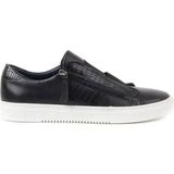 Sail Lakers Siyah Erkek Sneaker