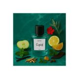 saint bros Cupid Afrodizyaklı Erkek Parfümü ( Eros ) Edp