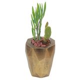 Saksı Çiçek Kaktüs Saksısı Lüx 10 cm Altın Eskitme Varak Boyalı Poly Desen Saksı Çiçeklik