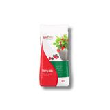 Saksı Mix 40 L Berry Mix Toprak Karışımı Çilek Toprağı
