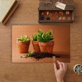 Saksıda Kaktüs Çiçekleri Tasarımı 240 Parça Ahşap Puzzle Ahşap Kutuda MP10027