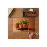 Saksıda Kaktüs Çiçekleri Tasarımı 240 Parça Ahşap Puzzle Ahşap Kutuda MP10027