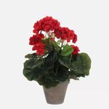 Saksıda Sardunya Yapay Çiçek Kırmızı (2'Li Paket)