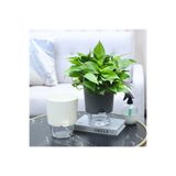 Saksıdan Sofraya Akıllı Kendi Kendini Sulayan Modern Saksı (Orta Boy)