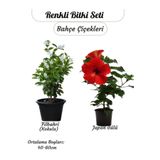 Saksılı 2’li Çiçek Seti – Kırmızı Japon Gülü & Filbahri (30-50CM Boy Aralığı)