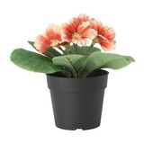 Saksılı Yapay Bitki Çuha Çiçeği,MeridyenDukkan 9 cm, İç/Dış Mekan