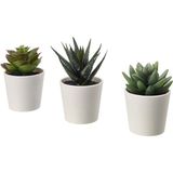 Saksılı Yapay Bitki, Yeşil, 6 Cm, 3 Adet, Kaktüs