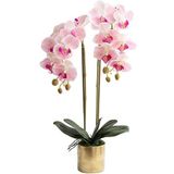 Saksılı Yapay Çiçek Orkide Yapay Çiçek Modern Basit Sahte Çiçek Phalaenopsis Vazo Seti Oturma Odası Ev Dekorasyonu Yapay Bitkiler Sahte Bitkiler,