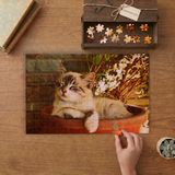 Saksının Içinde Oturan Sevimli Kedi Tasarımı 240 Parça Ahşap Puzzle Ahşap Kutuda MP04703