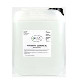 Sala Hamamelis Damıtılmış Cadı Fındığı Suyu (5 L Teneke Kutu)