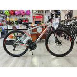 Salcano City Explorer Hd 19'' Mat Gri/Turuncu