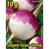 Şalgam Turpu Tohumu - 10 g (~ Takribi 600 Tohum)