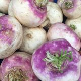 Şalgam Turpu (turnip) Tohumu 10 Gr Paket