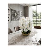 Sally Home Ufo Saksı 6 Dal Sarkıt Orkide Aranjmanı – Eskitme