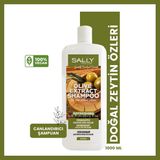 SALLY Zeytin Özlü Canlandırıcı Şampuan - Hacimsiz Yağlı Saçlar 1 Lt