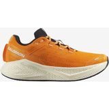 Salomon Aero Glide 3 Erkek Yol Koşusu Ayakkabısı - Renkli