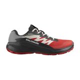 Salomon Alphaglıde Gore-tex Erkek Ayakkabısı L47975200 Çok Renkli