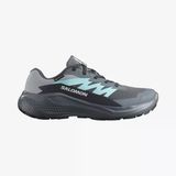 Salomon Alphaglıde Gore-Tex Kadın Ayakkabısı L47802300