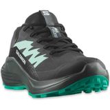 Salomon Alphaglide Gore-Tex Kadın Koşu Ayakkabısı - Koyu Gri