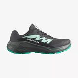 Salomon Alphaglide Gore-Tex Kadın Koşu Ayakkabısı